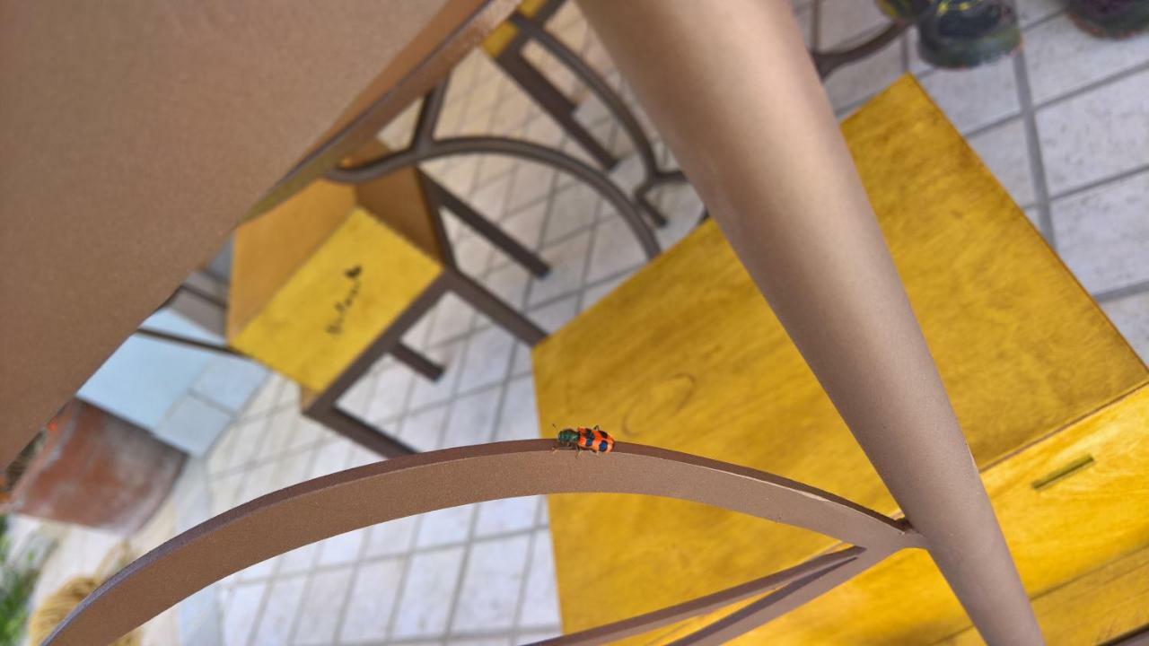 Natour L'Ostello Per I Camminatori バリシャーノ エクステリア 写真